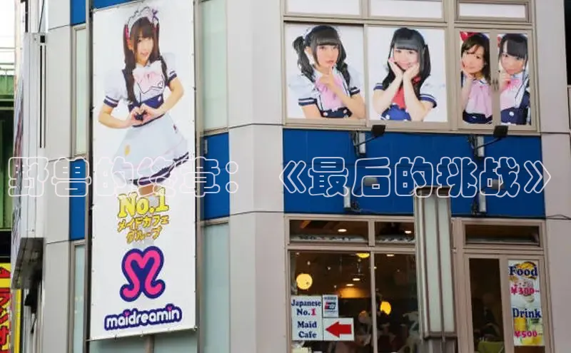 51动画网页版官网