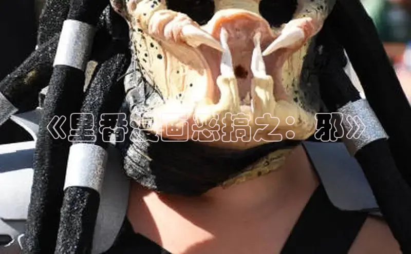 51动画网页版官网